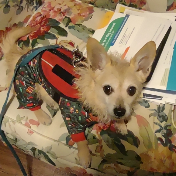 Meet your Posher, Katie - Picture 1 of 8